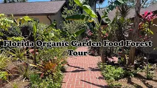 Florida Organic Edible / Tropical Garden Food Forest Tour | April Zone 10a