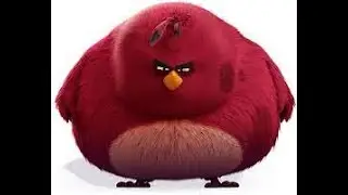 Terence power angry birds 2 les oiseaux en col&egrave;re hirsli quşlar एंग्री बर्ड्स 愤怒的小鸟 الطيورالغاضبة
