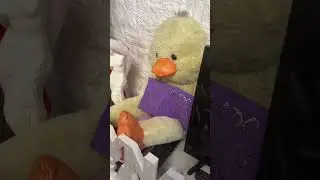 Lyna tiene un ej&eacute;rcito de patos 😂 #shorts