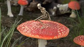 Bouncy Mushroom
