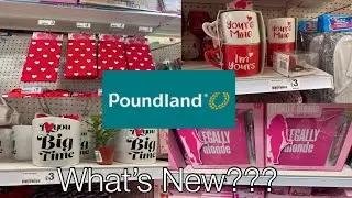 What&rsquo;s New in Poundland January 2023??? Come shop with me in Poundland