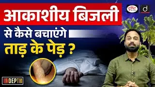Lightning vs  Palm Trees Odisha's Big Plan | Indepth | UPSC | Drishti IAS
