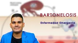 BARTONELLA ¡Revisión rápida de Tema! ☑️ 【𝑀𝐸𝐷𝐼𝐶𝐼𝑁𝐴 𝑉𝐸𝑇𝐸𝑅𝐼𝑁𝐴𝑅𝐼𝐴】