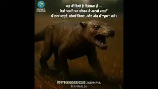 Origin of life 🧬 on the earth 🌍🌍 evolution 🧬🧬 