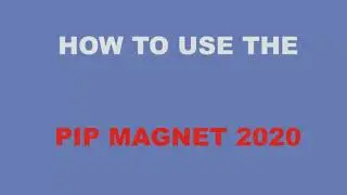 HOW TO TRADE WITH PIP MAGNET 2021