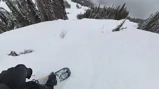 2024-03-26-Blackcomb-Snowboarding Glades Skier's Right of Overbite x Davies Dervish