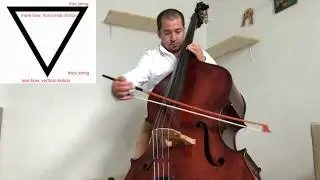 Double Bass: Mozart: Symphony 40, Mvt. I. Orchestral excerpt