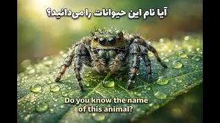 English Words Level A2_Lesson 6 (Animals) درس ششم واژگان انگلیسی_سطح مقدماتی: حیوانات