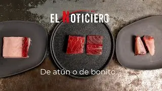 De atún o de bonito, El Noticiero de Lakasa da respuestas