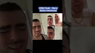 #littlefreak #harrystyles #harryshouse #harmony #vocalharmony #cover #acapellacover #coverbrasil