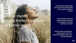 Demonstrating the Utility of 3D Cell Culture:  EpiIntestinal and the Future of Preclinical Testing