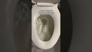 🤯Лайфхак для туалета: прочистите туалет без вантуза!