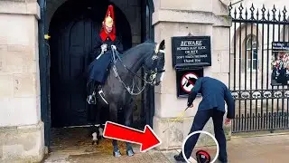 CAUGHT: Royal Horse THROWS the Boss&rsquo; Hat😳🤣