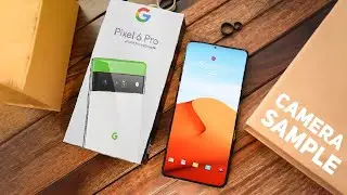 Google Pixel 6 Pro - New Camera Sample!