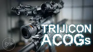 История четырёх ACOG: оптика Trijicon, которая НЕ TA31 [Обзор]