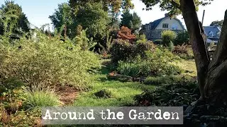 Scenes from Around the Garden Tour- September 2022 Philadelphia Zone 7