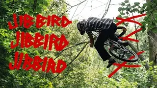 Dartmoor Jibbird x Conrado Pronobis