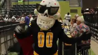 Tucson Sugar Skulls 2019 Highlights