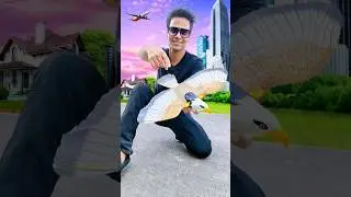 RC Eagle Bird flying test and battery fitting #shorts