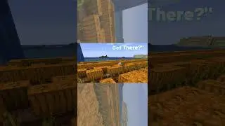 Dolphin Problems, Minecraft 100 Days Challenge