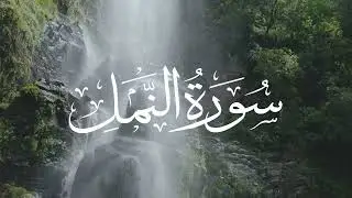 Surah Nahmal | Beautiful Quran Recitation | Yasser ad-Dussary