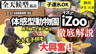 【子連れ旅行】伊豆・河津の体感型動物園iZooがすごすぎた！迫力＆エサやり＆ふれあい体験が楽しすぎ！静岡旅行スポット紹介