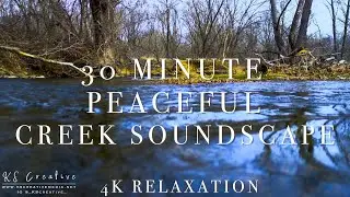 4K Soothing Relaxation: 30 Minutes of a Peaceful Late Winter Creek