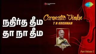 நதிர்த தீம் தா நா தீம் | Carnatic Violin - T.N. Krishnan Vol 2 | T.N. Krishnan Songs |