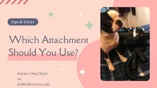 Aiiyme Dog Dryer Review
