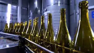 S.COOP SAN ISIDRO (QUINTANAR DEL REY). Programa Variotinto (CMM) (parte 2)