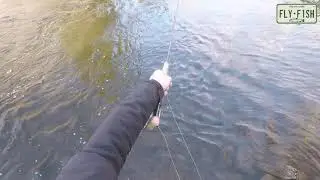 Fly Fishing - Popolopen Brook West Point NY April 1st 2019