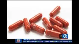 Oral Treatment Efficacy Against COVID-19