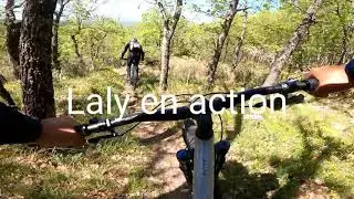 Giant reign SX 2021 vs vttae reign E+ trek rail 5