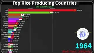 🔴 Top Rice Producing Countries, top rice production country in the world, rice production