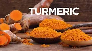 The power of Turmeric for joint support - Promeric 95