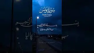 SURAH YUNUS|verse no 73✨🖤 Quran Translation ✨#quran
