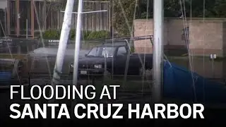 Tsunami From Tongan Volcano Causes Flooding in Santa Cruz