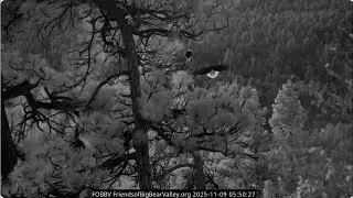 A beautiful Sunday morning in Big Bear Valley 09.11.2025 @FOBBVCAM