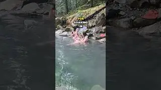 A hidden gem | Olympic Hot Springs #hotsprings #hiking #nationalpark