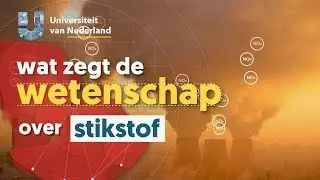 Waarom heeft Nederland een stikstofprobleem?