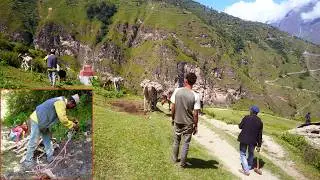 dharme brother's daily lifestyle in his village || rural Nepal || @ruralnepall