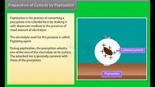 Ch 5 - Surface Chemistry | Preparation of Colloids by Peptization