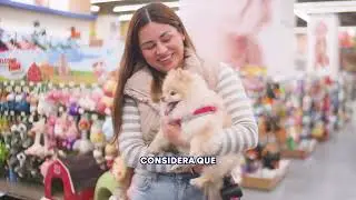 Nuestro Grooming Salon es un espacio seguro para tu mascota! 🐶​💙