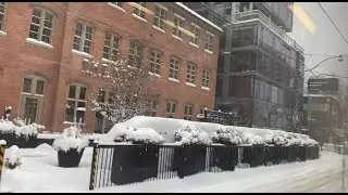 BRAVE THE BLIZZARD 30CM SNOW #winterstorm