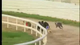 IGB - GoGreyhoundRacing.ie  A4  22/05/2019 Race 5 - Youghal