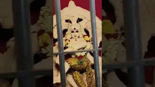 Pancha Sabha....Nataraja swami as Taamra sabhapati 