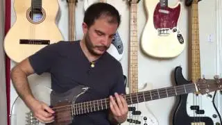 RotoSound - Ampeg Dan Armstrong