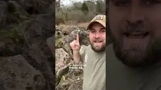 Hartselle Sandstone Glade Restoration Pt 1