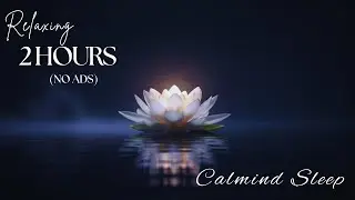 Nature&rsquo;s Harmony 🌲 Soft Instrumental Music with Water Sounds for Deep Relaxation