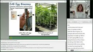 Urban Forest Connections | A Call to Action for Ash Tree Conservation | Jennifer Koch